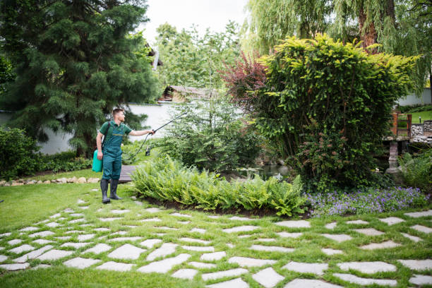 Best Tree and Shrub Care  in Leander, TX