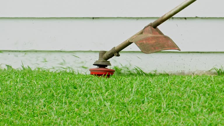Best Lawn Grading and Leveling  in Leander, TX